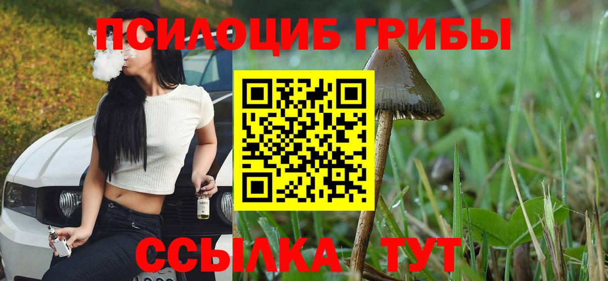 закладка  Галлюциногенные грибы мухоморы  Вход с VPN  Элиста 