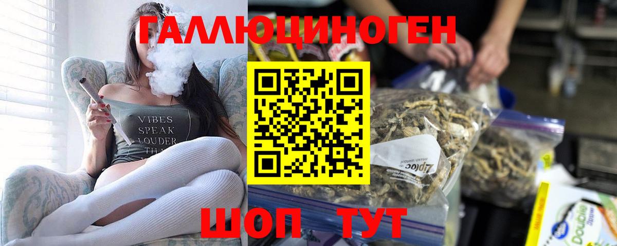 Галлюциногенные грибы GOLDEN TEACHER Элиста